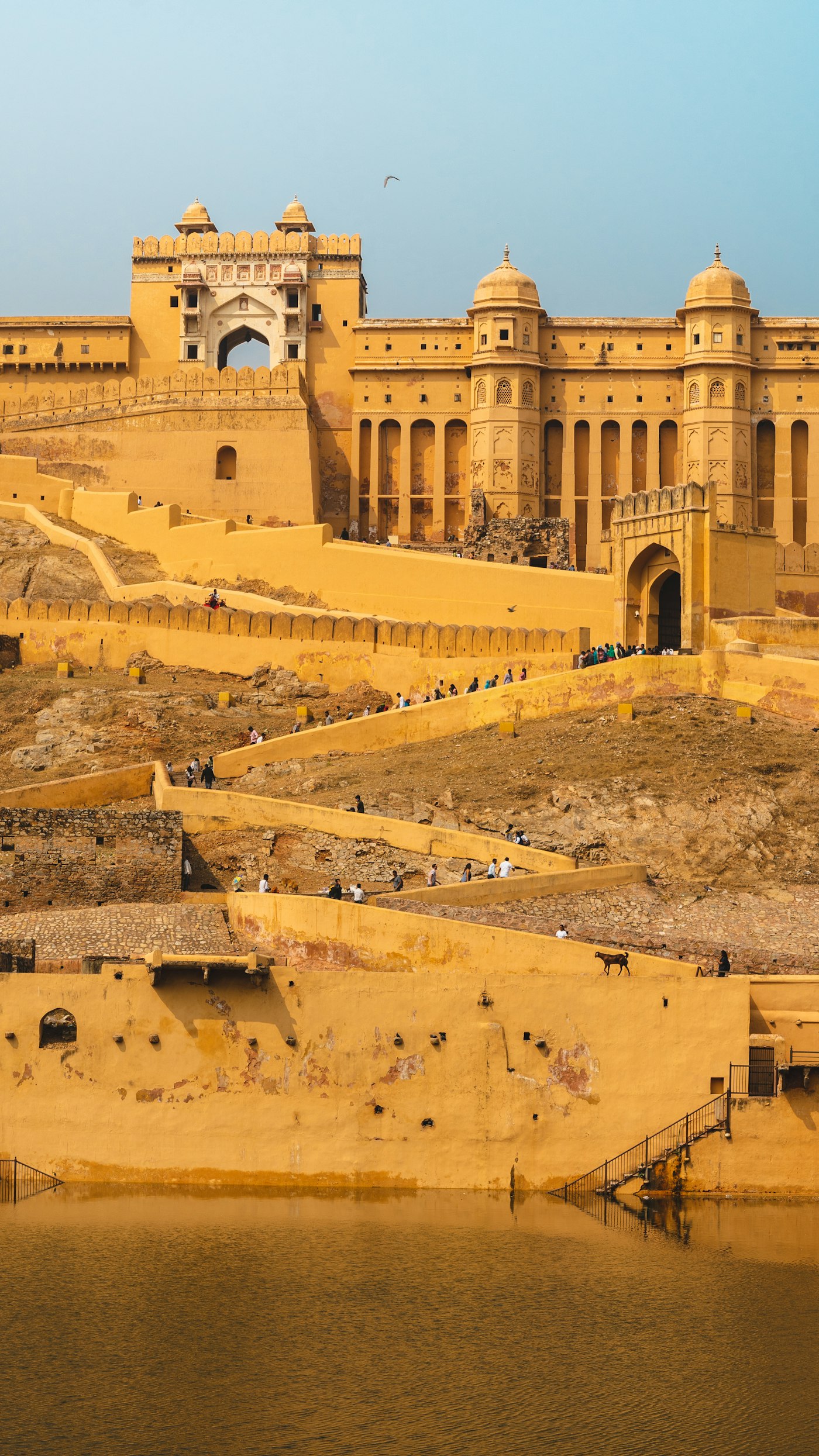 Rajasthan Royal Honeymoon
