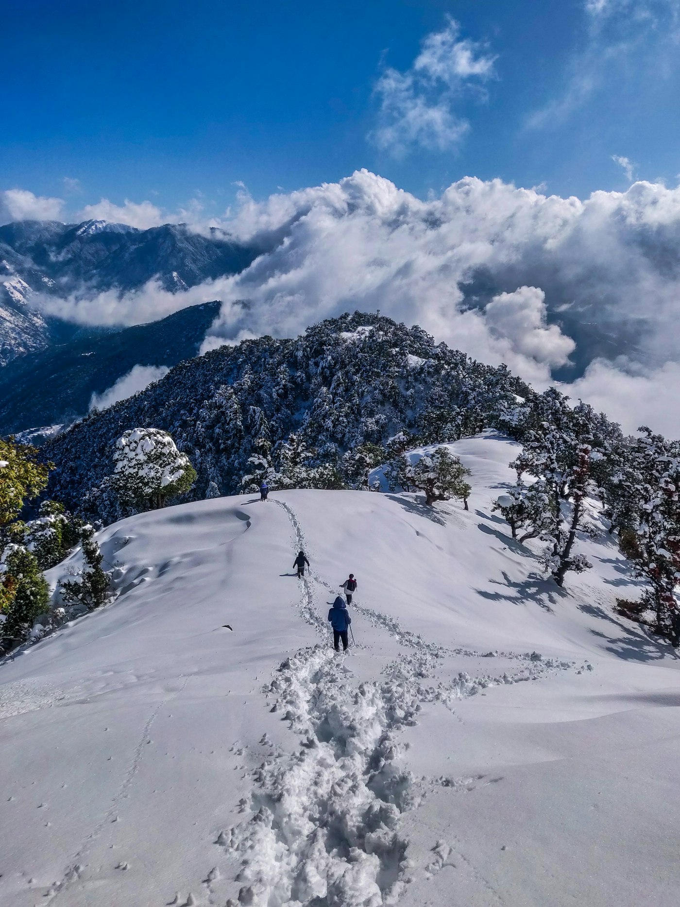 Himachal holiday package