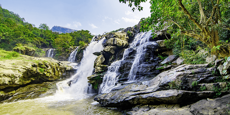 Hills of South India