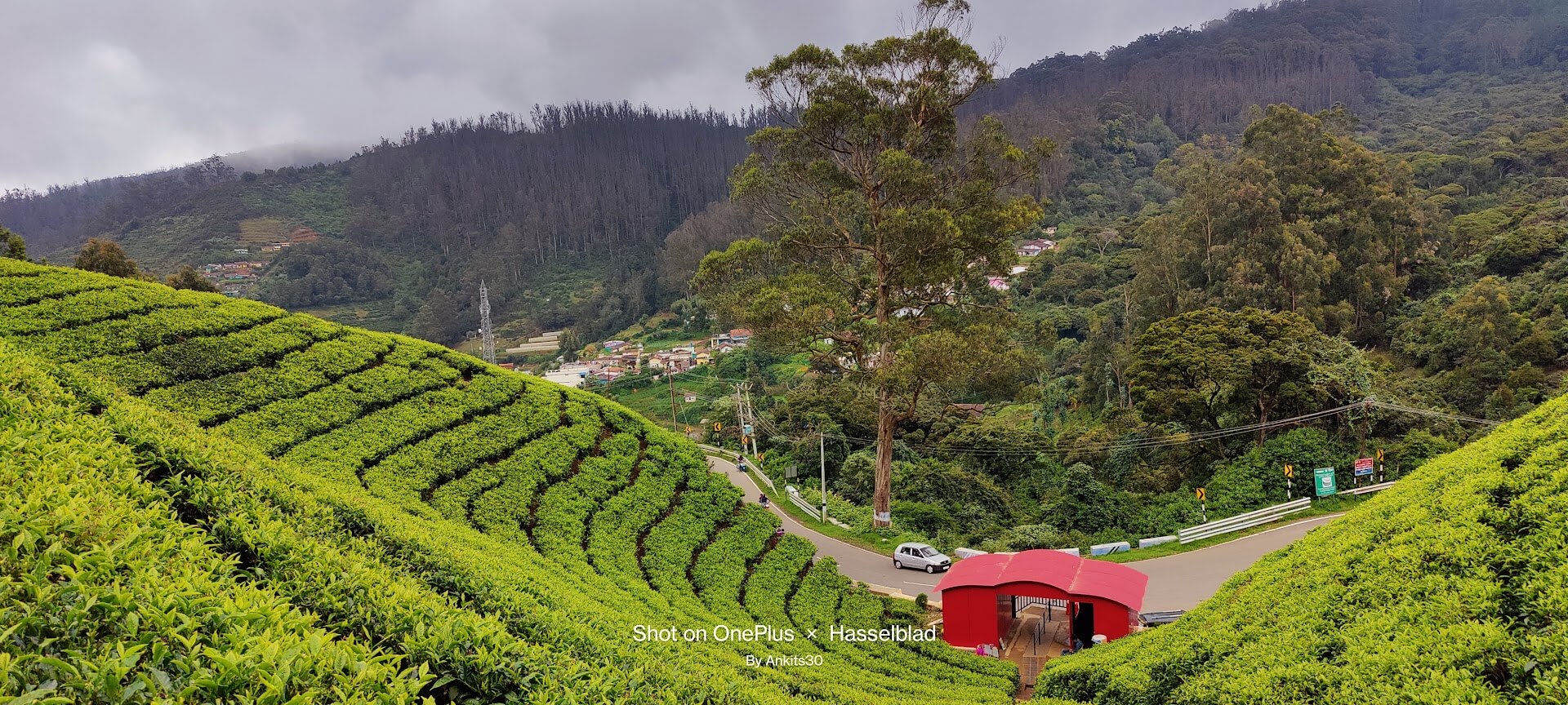 Splendour of South India