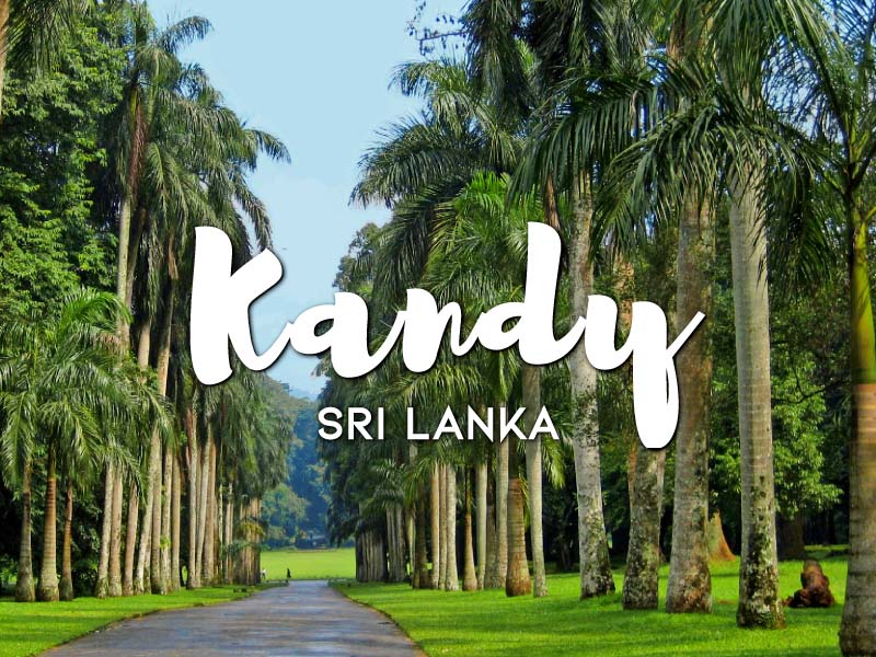 A short trip to Sri Lanka